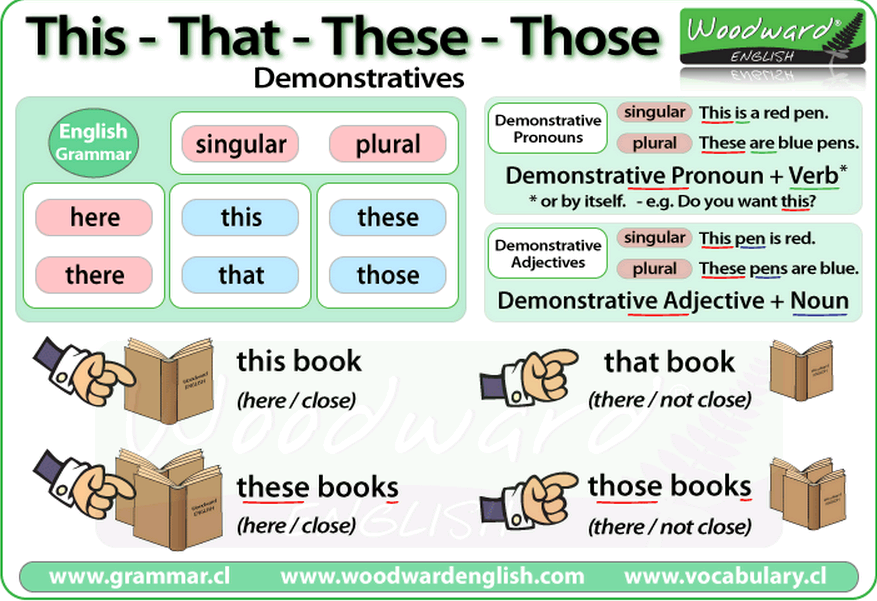 Demonstrative Pronouns and Demonstrative Adjectives – Teaching English